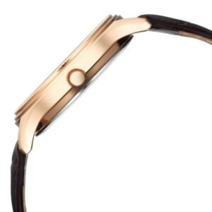 Titan Karishma Quartz Analog with Day and Date Silver Dial Leather Strap Watch For Men - Image 3